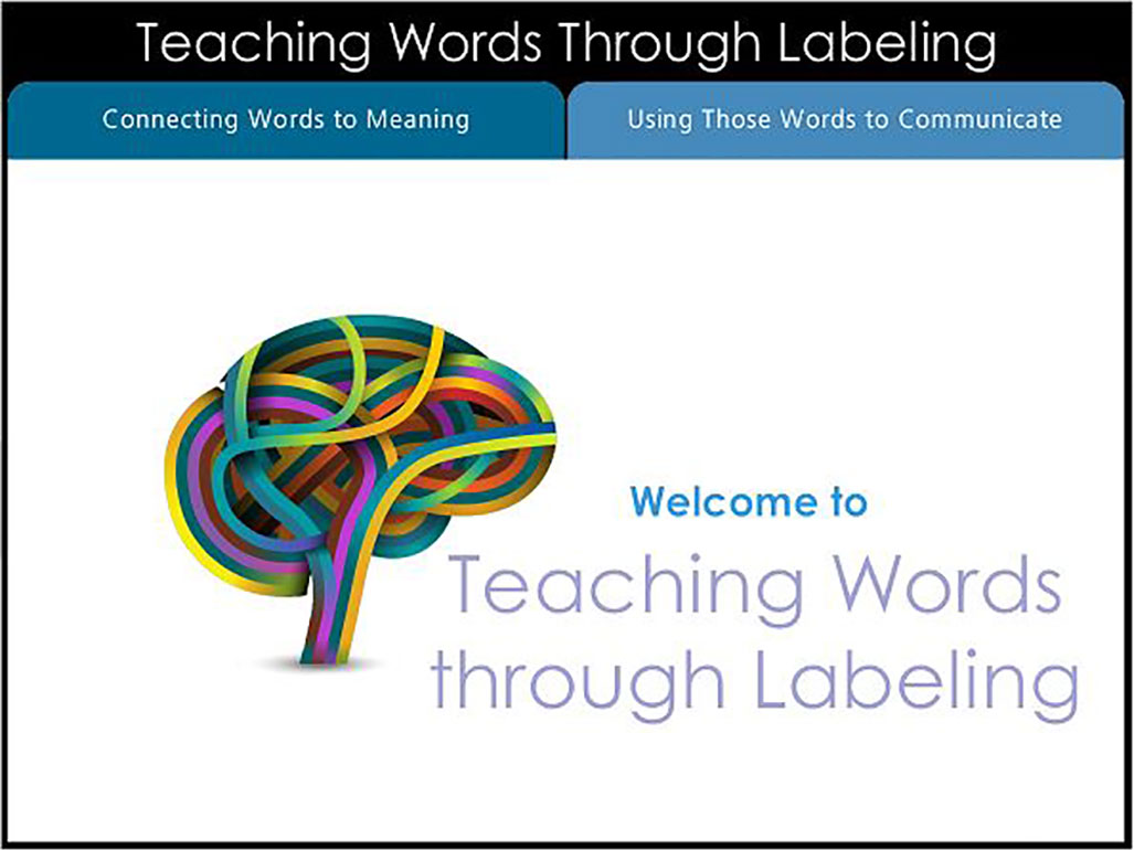 Teaching Words Through Labeling