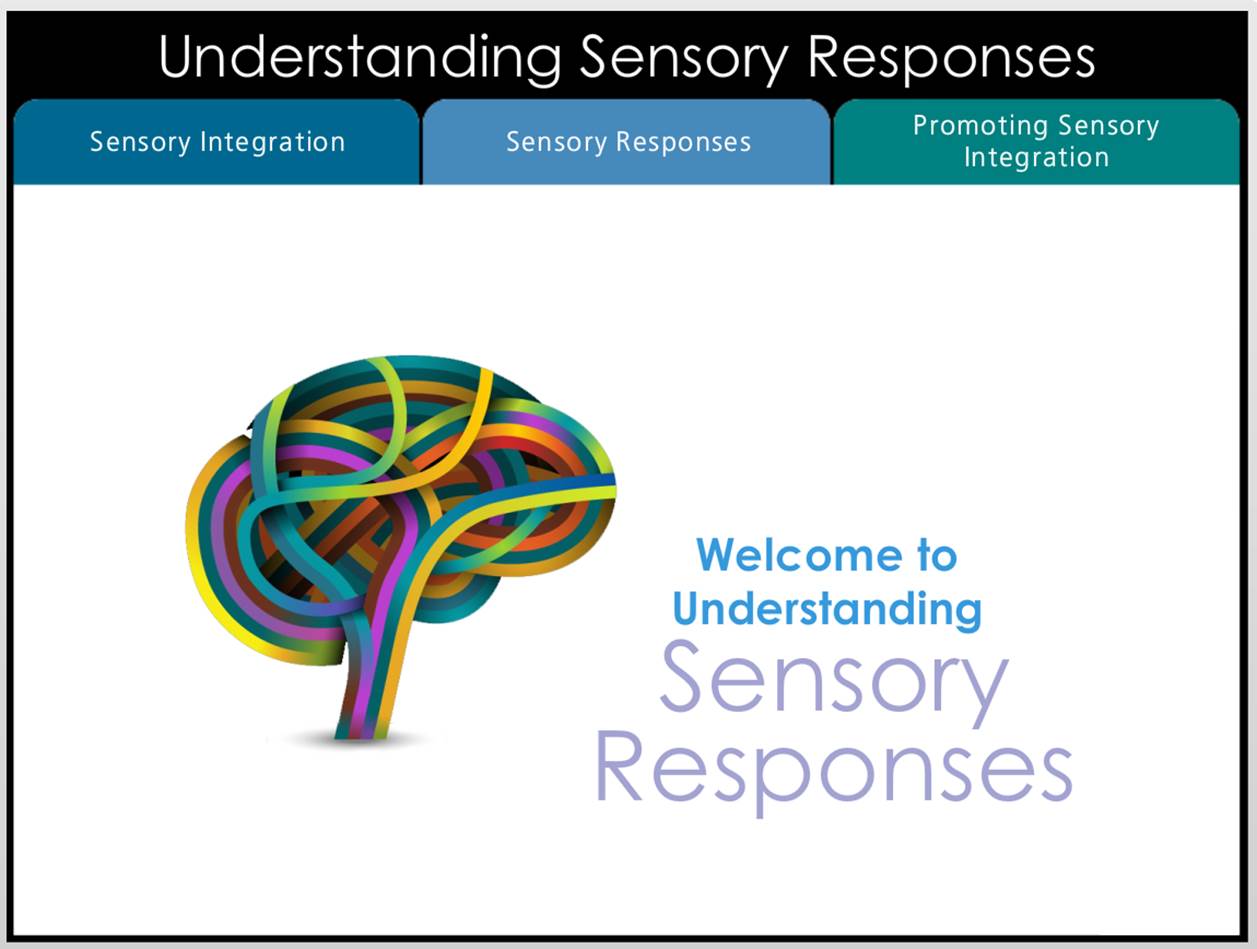 Understanding Sensory Responses