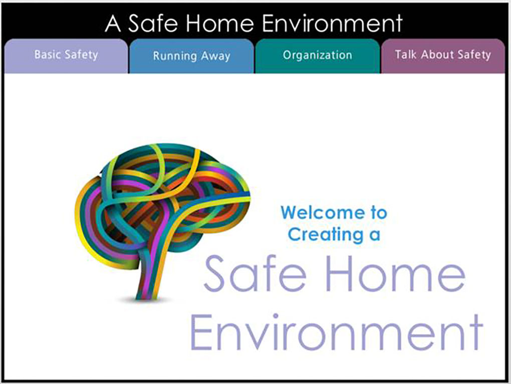 A Safe Home Environment