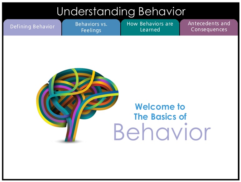 Basics of Behavior